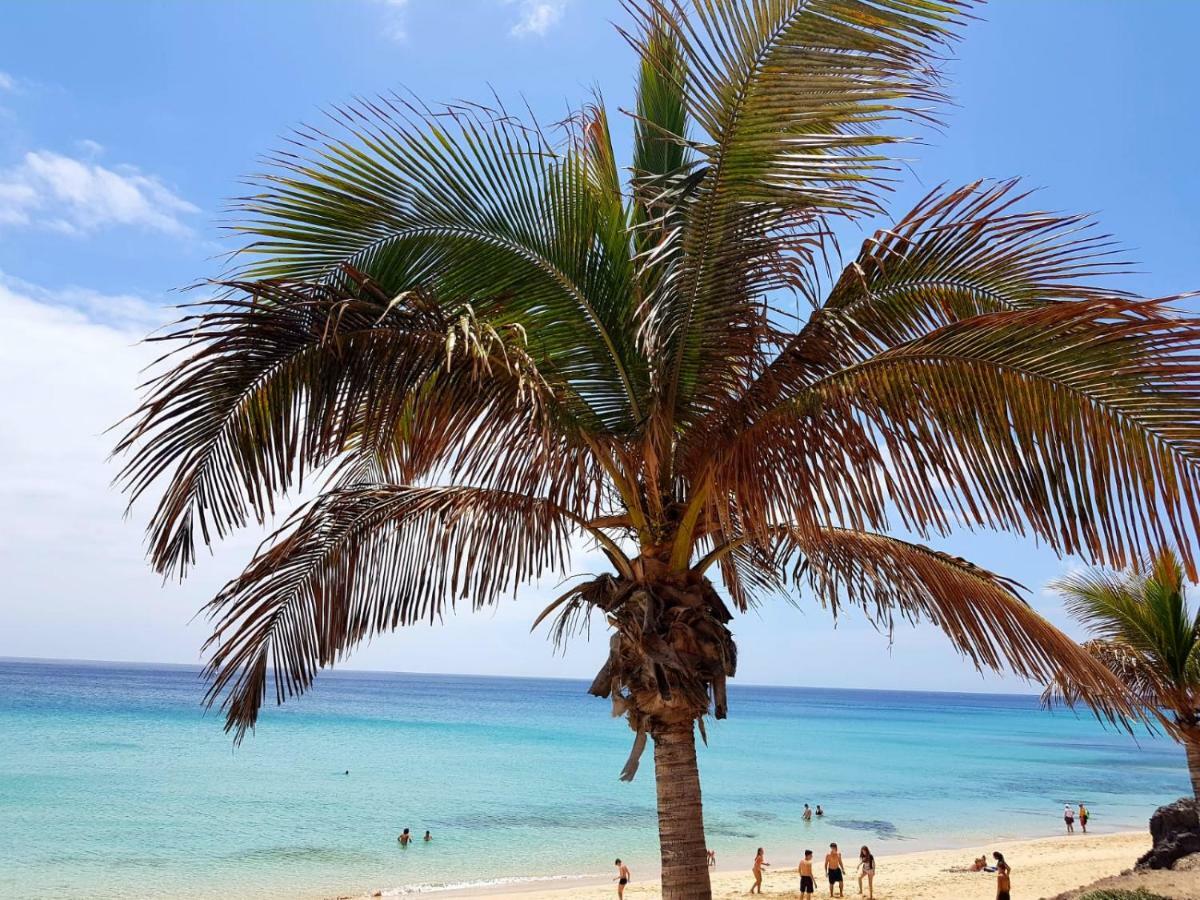 Your Ocean Window Costa Calma